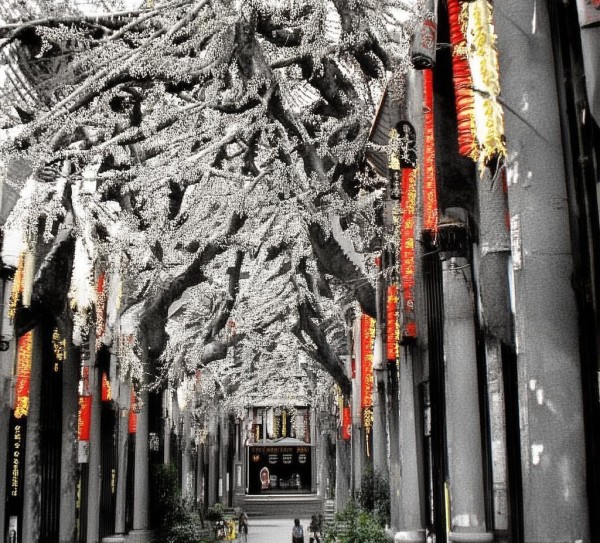 市商务局,管理哪些行业?解读行业动态与政策解读 市商务局,管理哪些行业?解读行业动态与政策解读