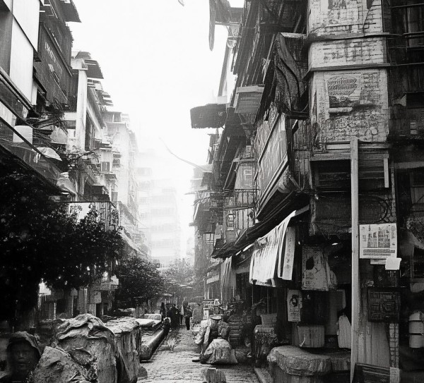 沧州市商务局,高质量发展迎战新挑战 沧州市商务局,高质量发展迎战新挑战